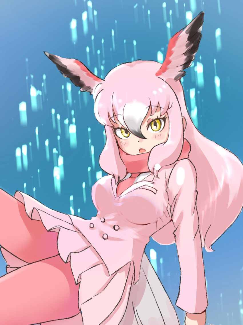 1girl, bird_girl, bird_tail, bird_wings, black_hair, blush, commentary_request, greater_flamingo_(kemono_friends)