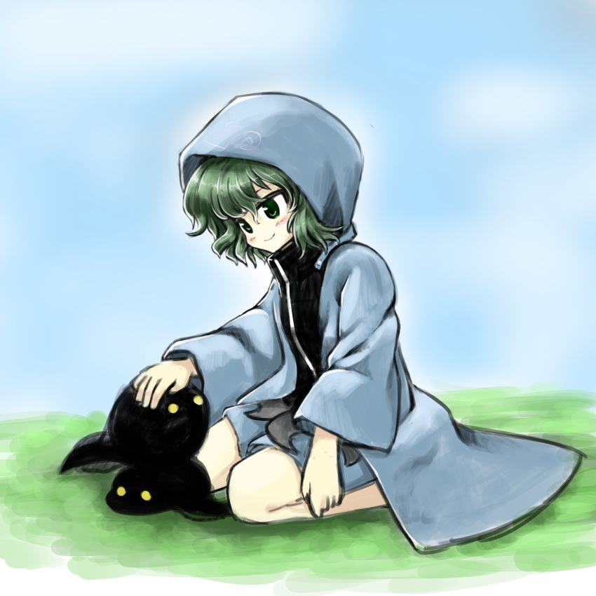 1other, androgynous, anmita_(rarutos), green_eyes, green_hair, headpat, highres, hood