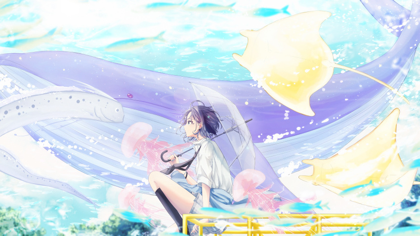 1girl, asakura_toru, blue_whale, cardigan, cardigan_around_waist, clothes_around_waist, fish, floating_hair
