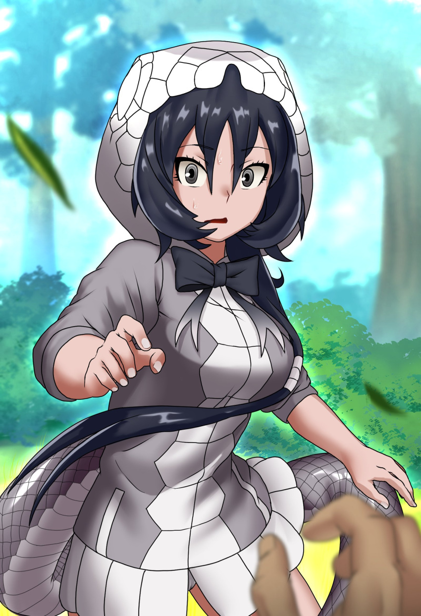 1girl, black_hair, black_mamba_(kemono_friends), blush, commentary_request, cowboy_shot, grey_eyes, grey_hoodie