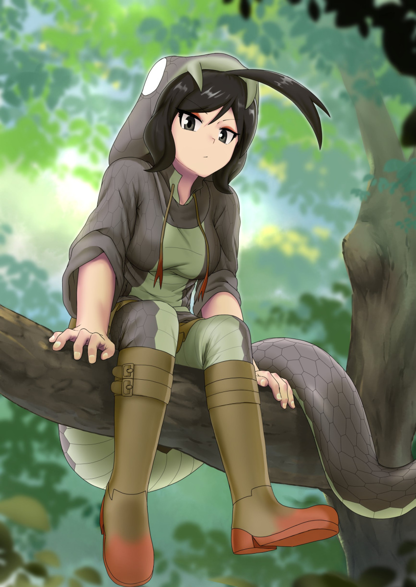 1girl, :/, absurdres, ahoge, animal_hood, black_eyes, black_hair, black_mamba_(kemono_friends), blurry, blurry_background, boots, branch, closed_mouth, day, drawstring, expressionless, eyelashes, fingernails, full_body, hand_rest, highres, hood, hood_up, hoodie, huge_ahoge, in_tree, kemono_friends, leaf, leaning_forward, long_tail, looking_at_viewer, nso_mono, outdoors, pantyhose, sitting, sitting_in_tree, skirt, snake_hood, snake_tail, solo, tail, tree, tsurime