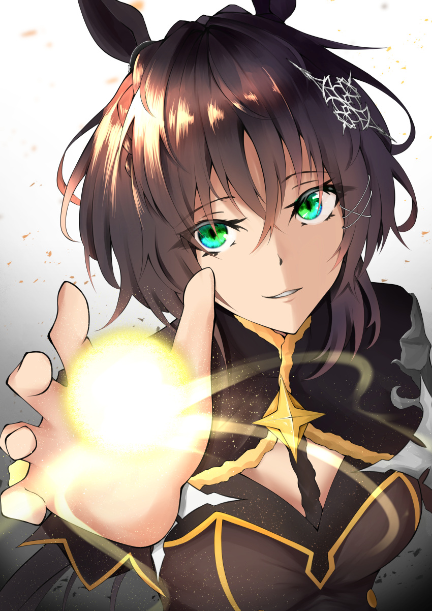 1girl, absurdres, animal_ears, black_hair, braid, breasts, crown_braid, farena