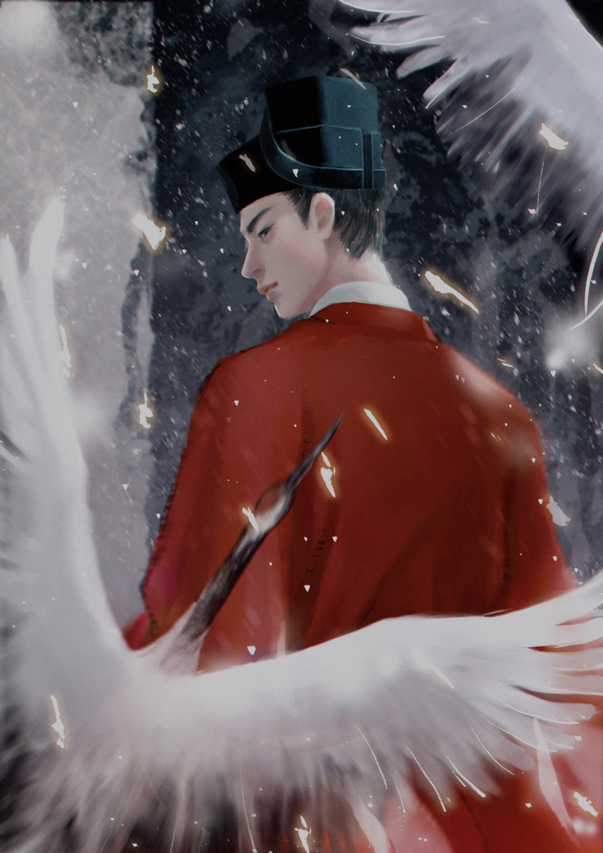 1boy, bird, black_eyes, black_hair, black_headwear, blurry, cloak, crane_(animal), crowdoll, highres, looking_back, original, outdoors, red_cloak, short_hair, solo