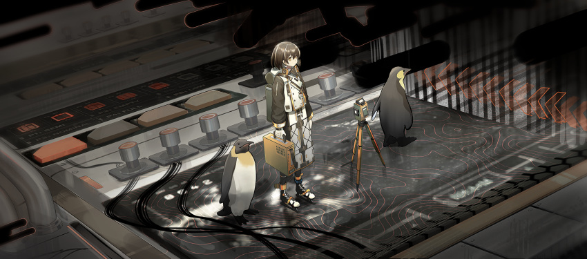 1girl, animal, arknights, backpack, bag, bird, black_coat, black_pants