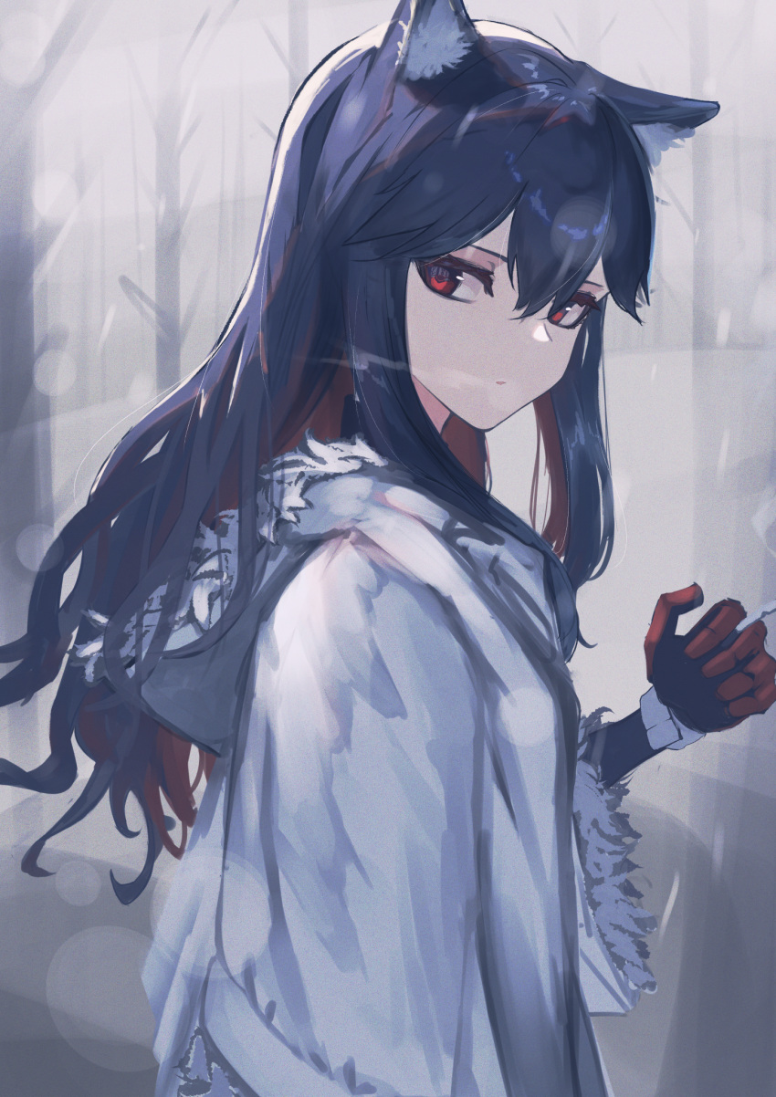 1girl, animal_ear_fluff, animal_ears, arknights, bangs, bare_tree, black_capelet, black_hair