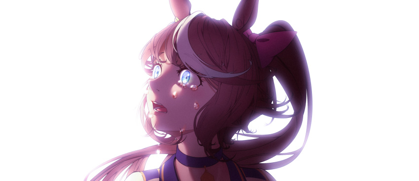1girl, 2girls, absurdres, animal_ears, backlighting, bangs, blue_choker, blue_eyes