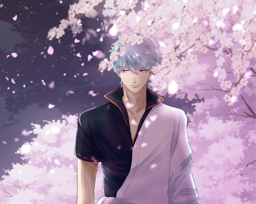 1boy, absurdres, cherry_blossoms, closed_mouth, falling_petals, flower, fusizennna_3310, gintama, hair_between_eyes, highres, japanese_clothes, looking_to_the_side, male_focus, petals, pink_flower, sakata_gintoki, smile, solo, tree, violet_eyes, white_hair