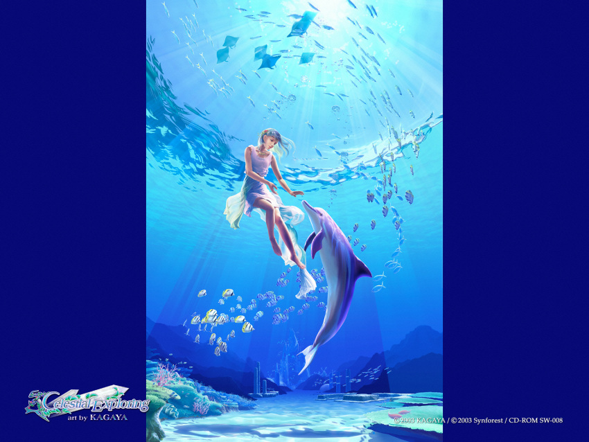 celestial_exploring, dolphin, fish, kagaya, underwater