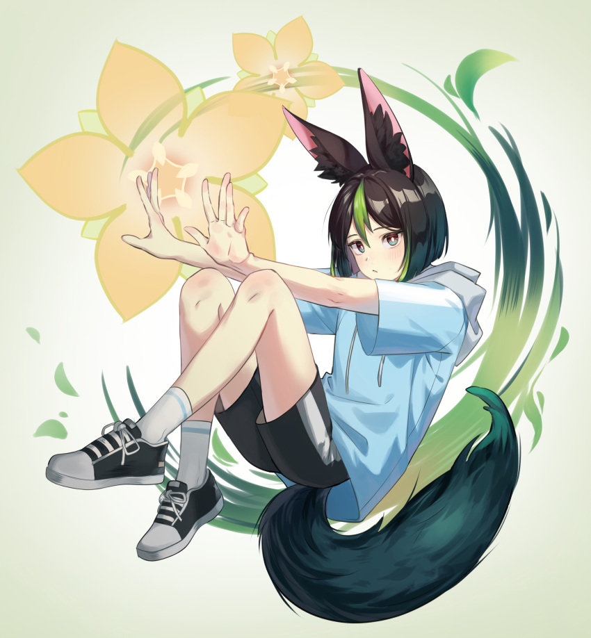 1boy, absurdres, alternate_costume, animal_ear_fluff, animal_ears, black_hair, black_shorts, blue_hoodie
