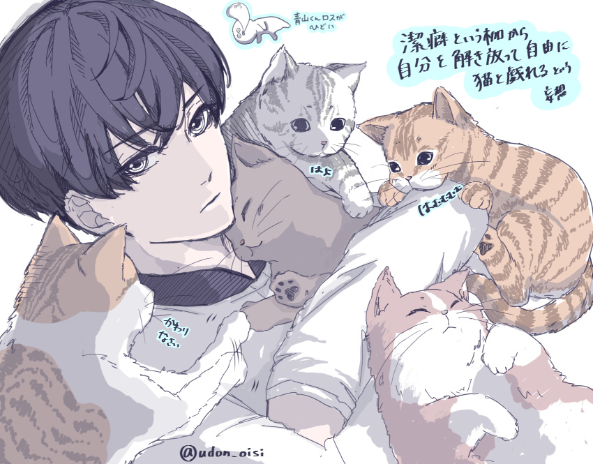 1boy, animal, animal_on_stomach, aoyama-kun_(keppeki_danshi), artist_name, black_hair, cat, ghost