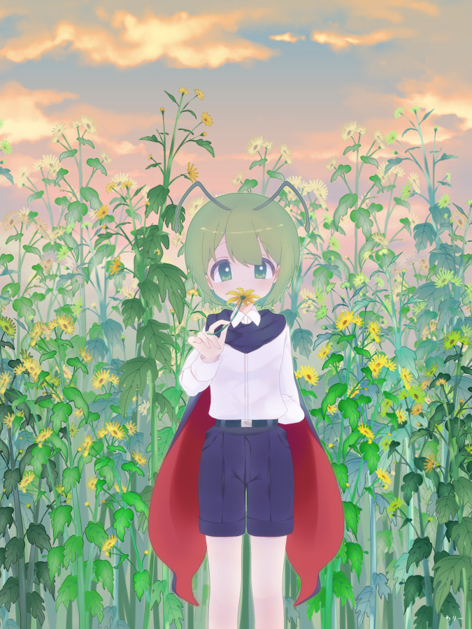1girl, androgynous, antennae, bangs, black_cape, black_shorts, blush, cape