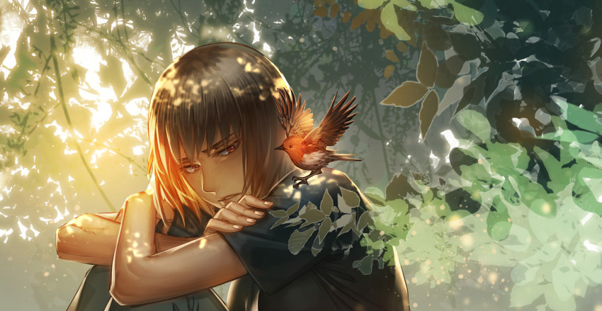 1girl, akakokko_(niro_azarashi), animal_on_shoulder, bangs, bird, bird_on_shoulder, birdmen, branch