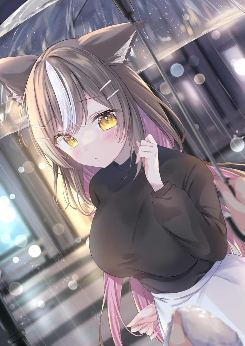 1girl, absurdres, animal_ears, bangs, black_sweater, blurry, blurry_background, blush