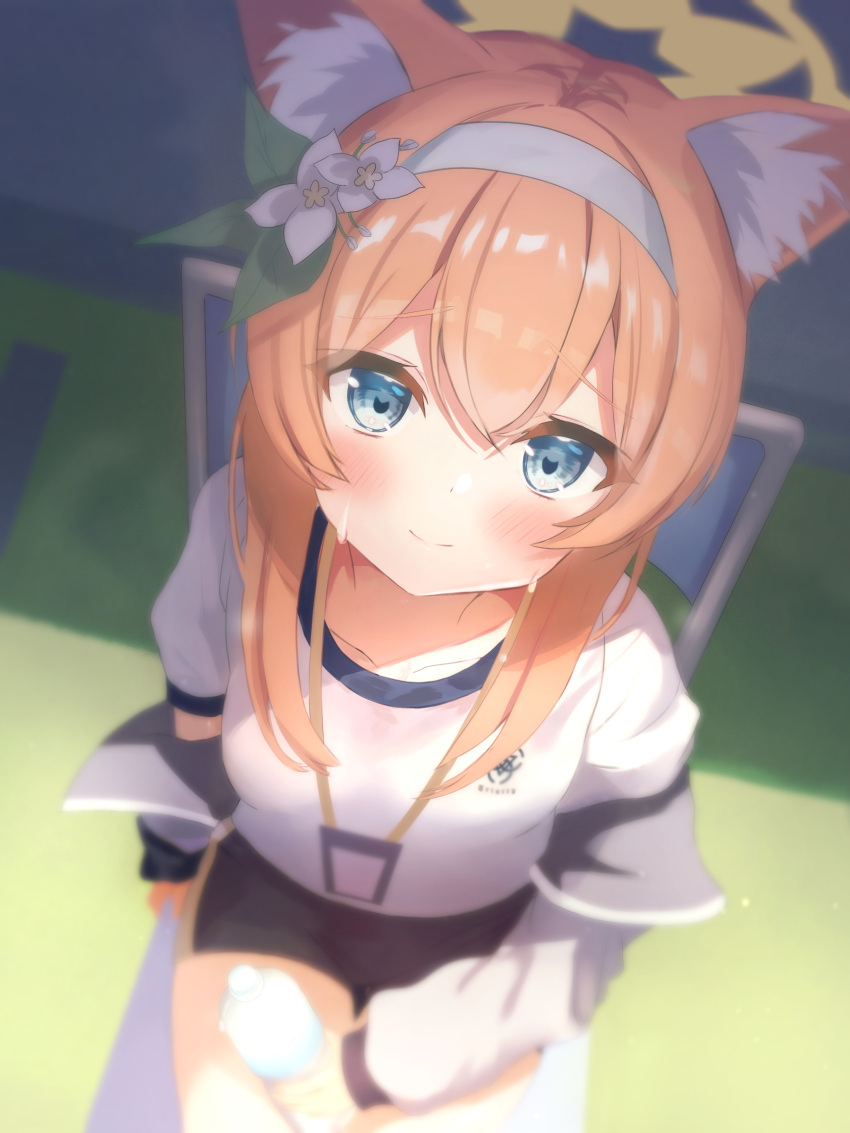 1girl, absurdres, akiyuki_nagi, animal_ear_fluff, animal_ears, bangs, blue_archive, blue_eyes