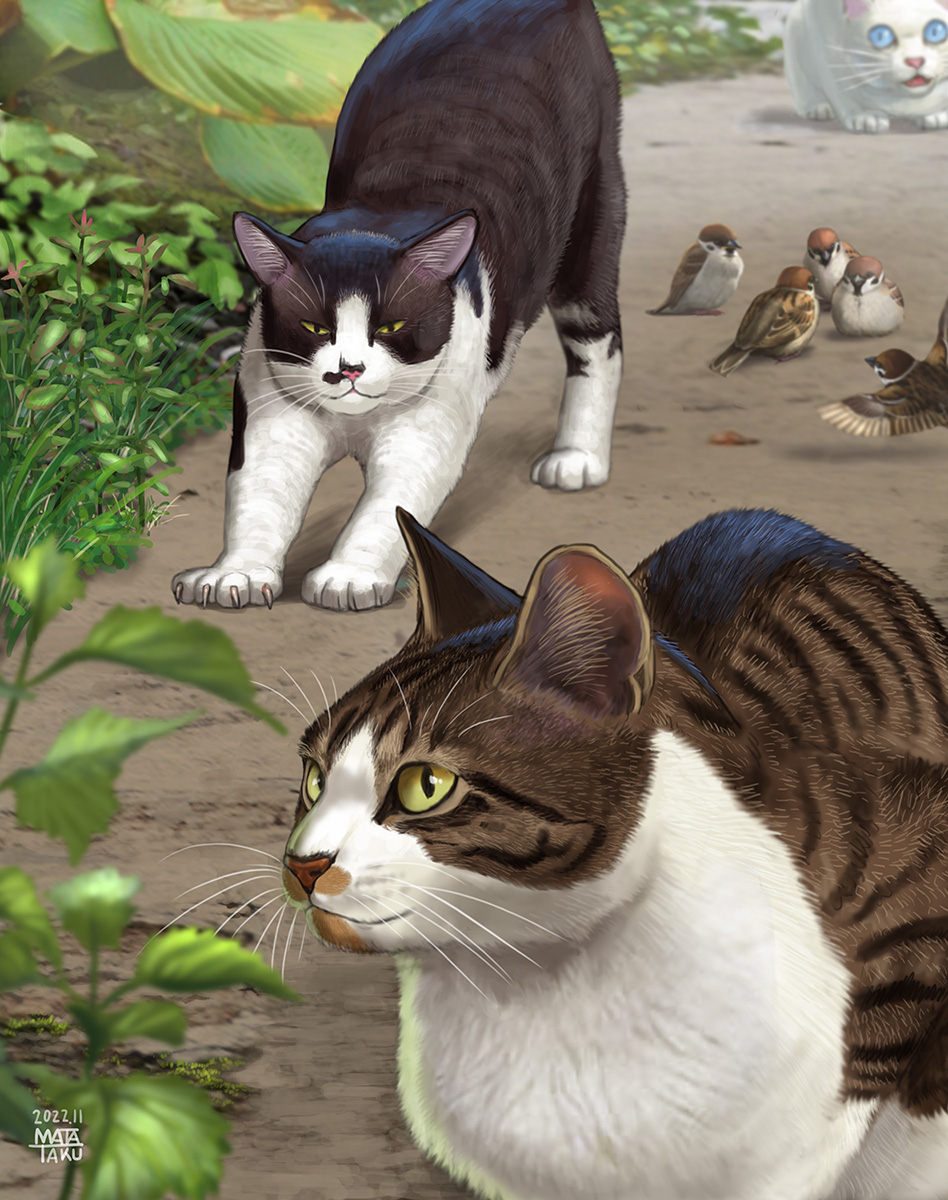 animal_focus, bird, bird_request, blue_eyes, blurry, blurry_foreground, cat, day