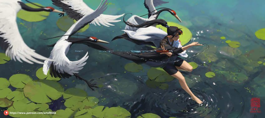 1girl, animal, bike_shorts, bird, black_hair, commentary_request, crane_(animal), day