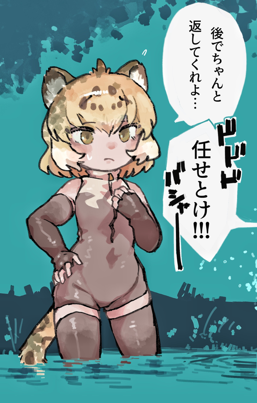 1girl, absurdres, animal_ears, bare_shoulders, blonde_hair, blush, brown_hair, commentary_request, cosplay, elbow_gloves, fingerless_gloves, giant_otter_(kemono_friends), giant_otter_(kemono_friends)_(cosplay), gloves, grey_gloves, grey_one-piece_swimsuit, grey_thighhighs, highres, jaguar_(kemono_friends), jaguar_ears, jaguar_girl, jaguar_tail, kemono_friends, multicolored_hair, one-piece_swimsuit, short_hair, sleeveless, solo, swimsuit, tail, thigh-highs, toki_reatle, translation_request, turtleneck, two-tone_swimsuit, wading, white_one-piece_swimsuit, yellow_eyes, zettai_ryouiki, zipper
