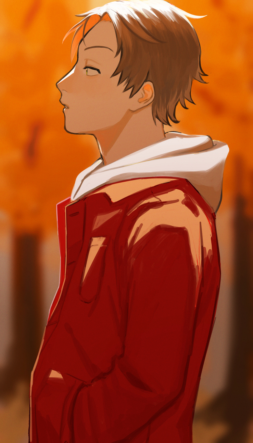 absurdres, blurry, blurry_background, brown_hair, from_side, hand_in_pocket, highres, hood