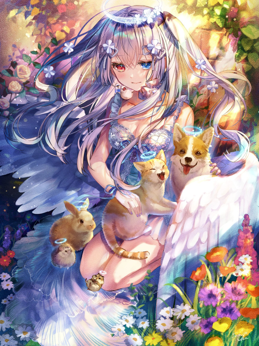 1girl, angel_wings, animal, animal_on_lap, bangs, bare_legs, bird, black_eyes