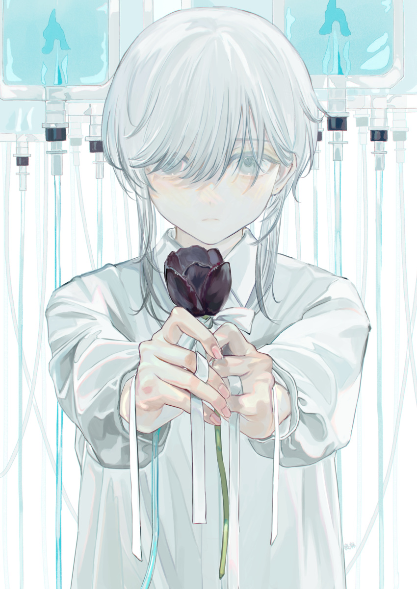 1boy, absurdres, bangs, blood, blood_bag, closed_mouth, collared_shirt, flower