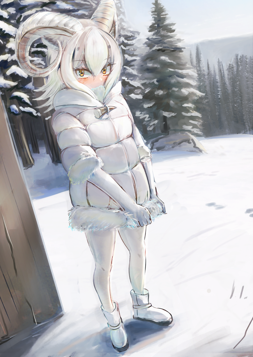 1girl, animal_ears, bangs, blush, bodystocking, clothes_grab, coat, colored_inner_hair, covered_mouth, curled_horns, dall_sheep_(kemono_friends), day, fisheye, fuji_takanasu, full_body, fur-trimmed_sleeves, fur_collar, fur_trim, hair_between_eyes, highres, horizontal_pupils, horns, kemono_friends, legs_apart, looking_at_viewer, medium_hair, multicolored_hair, outdoors, puffy_coat, sheep_ears, sheep_horns, snow, solo, standing, white_hair, winter_clothes, winter_coat, yellow_eyes