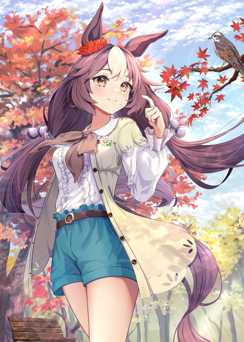 1girl, absurdres, animal, animal_ears, autumn, autumn_leaves, bird, blue_shorts