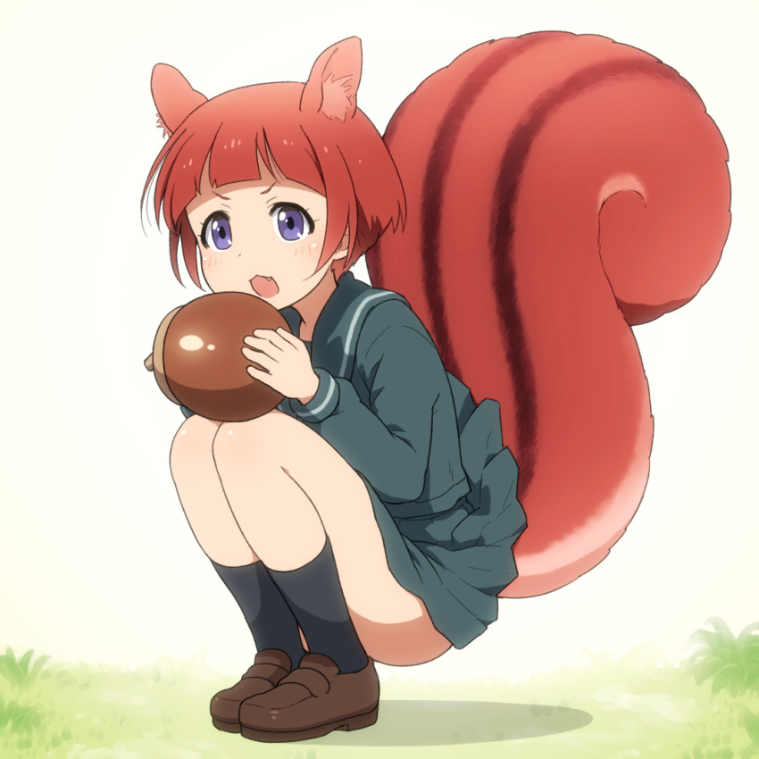 1girl, :3, acorn, animal_ears, black_socks, commentary, fang, kneehighs, redhead, school_uniform, senjuin_koharu, shirosato, short_hair, simple_background, socks, solo, squatting, squirrel_tail, tail, violet_eyes, yama_no_susume