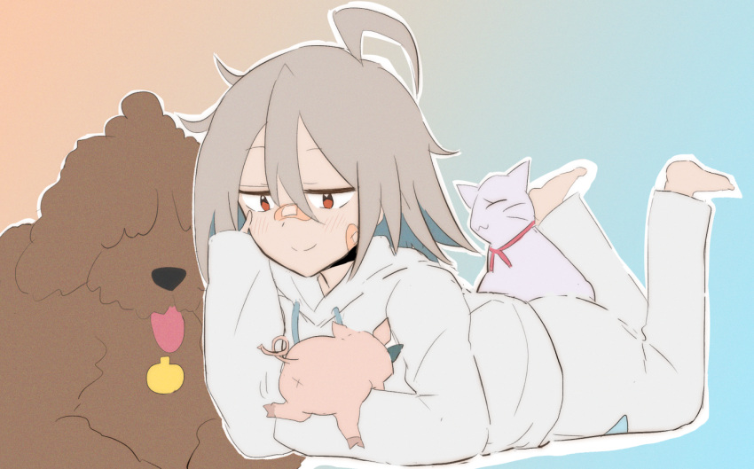 1girl, ahoge, animal, animal_on_back, bandaid, bandaid_on_cheek, bandaid_on_face, bandaid_on_nose, bangs, barefoot, blue_hoodie, blue_pants, cat, commentary, do_it_yourself!!, dog, drawstring, finger_to_cheek, grey_hair, half-closed_eyes, holding, holding_animal, hood, hood_down, hoodie, legs_up, long_sleeves, lying, medium_hair, on_stomach, outline, pajamas, pants, pig, red_eyes, sleepwear, solo, white_outline, yama_(taiga030), yua_serufu