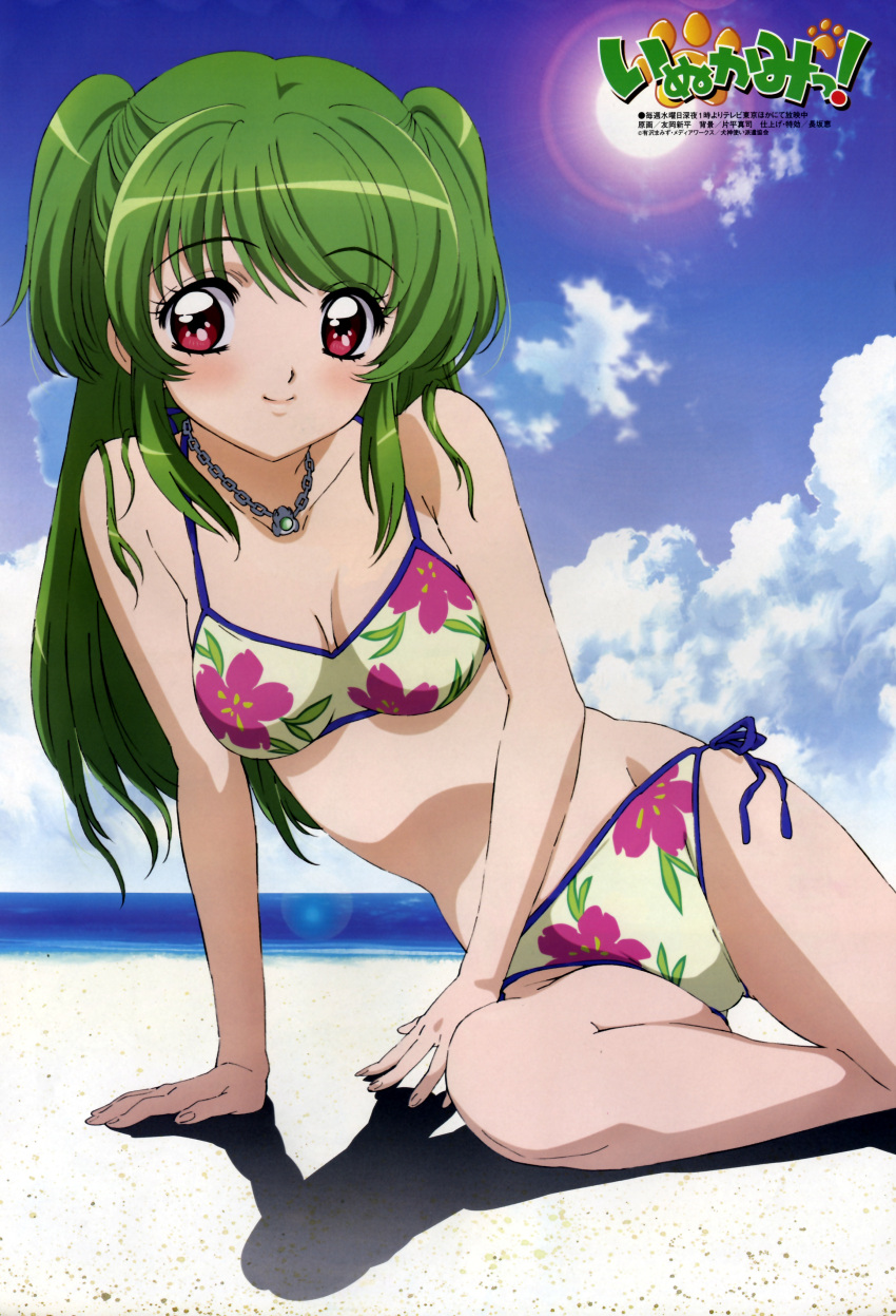bikini, cleavage, inukami!, swimsuit, tomooka_shinpei, youko