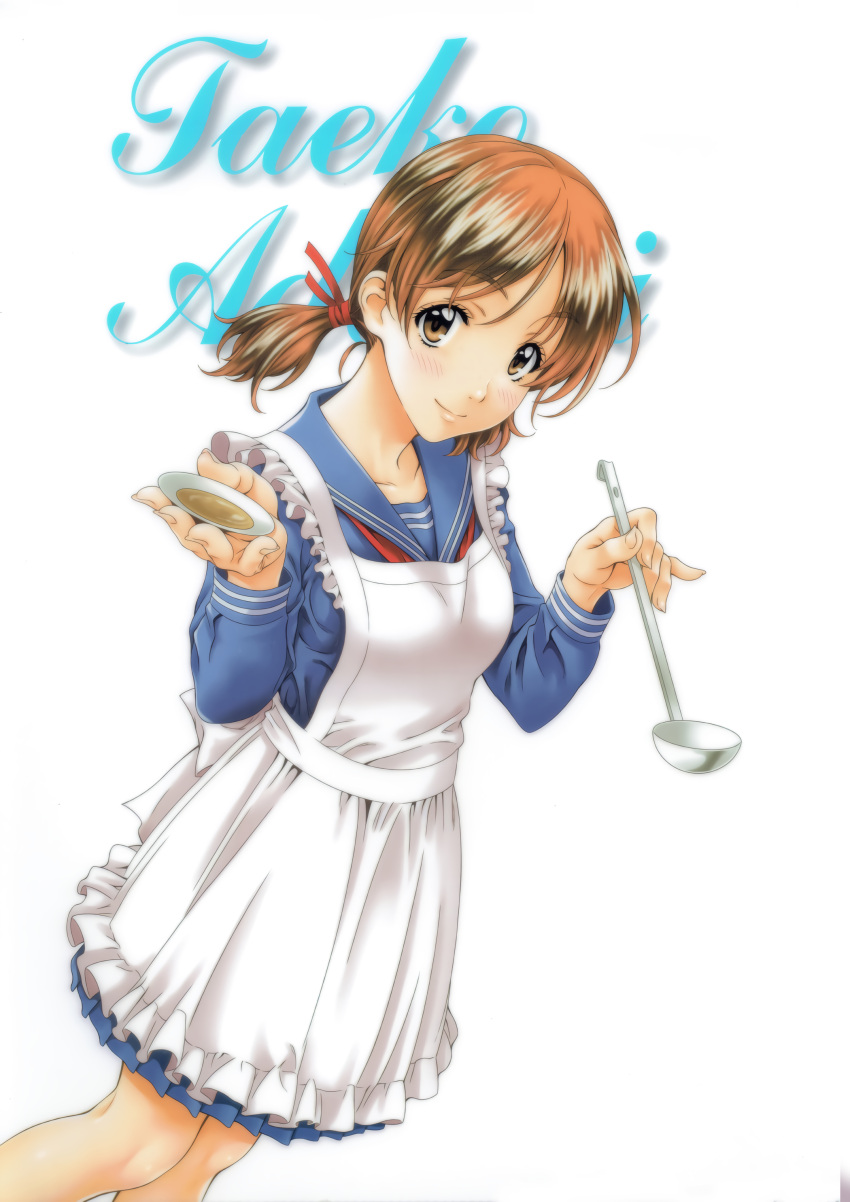 1girl, absurdres, adachi_taeko, apron, blue_skirt, character_name, cursive, feet_out_of_frame