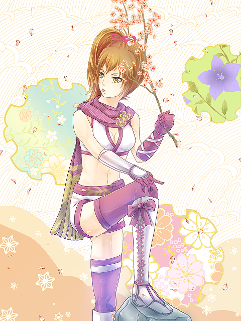 boots, brown_eyes, brown_hair, female, gloves, hoshikirari, kunoichi_(sengoku_musou), long_hair