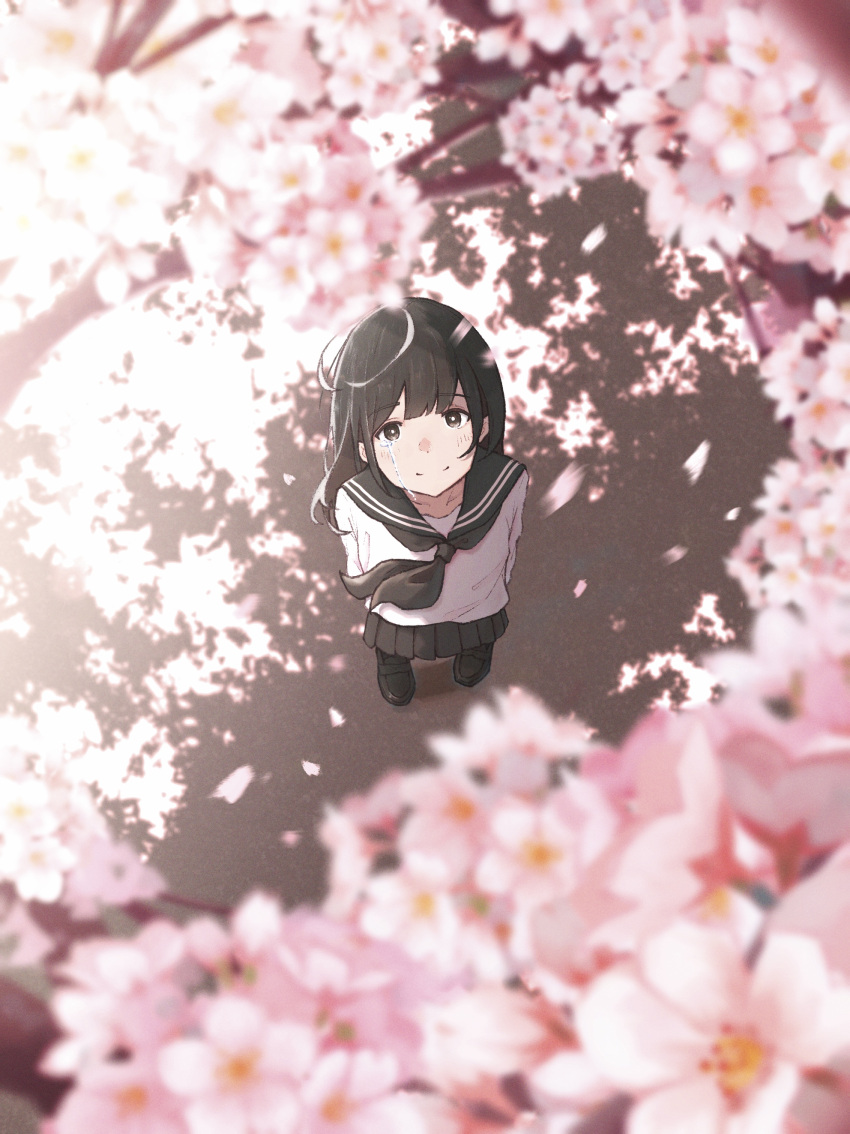 1girl, absurdres, arms_behind_back, bangs, black_eyes, black_hair, black_sailor_collar, black_skirt, cherry_blossoms, commentary_request, cover, crying, crying_with_eyes_open, from_above, highres, long_hair, long_sleeves, looking_at_viewer, looking_up, official_art, oka_kojiro, original, pleated_skirt, sailor_collar, scenery, school_uniform, serafuku, skirt, smile, solo, standing, streaming_tears, tears, uniform