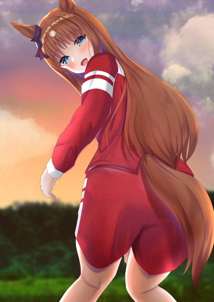 1girl, alternate_costume, animal_ears, ass, blurry, blurry_background, clouds, commentary
