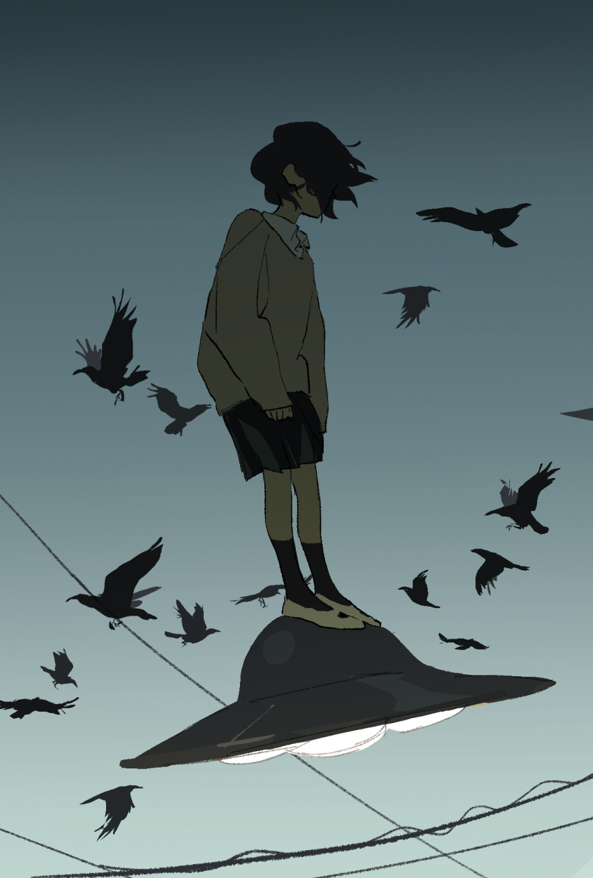 1girl, arms_at_sides, bird, black_skirt, black_socks, brown_cardigan, brown_hair, cardigan, collared_shirt, crow, floating_hair, flock, from_side, full_body, funao_oekaki, gradient_sky, hair_over_face, highres, kneehighs, looking_ahead, original, outdoors, pleated_skirt, power_lines, school_uniform, shirt, shoes, short_hair, skirt, sky, sleeves_past_wrists, socks, solo, standing_on_object, twilight, ufo, uwabaki, white_shirt
