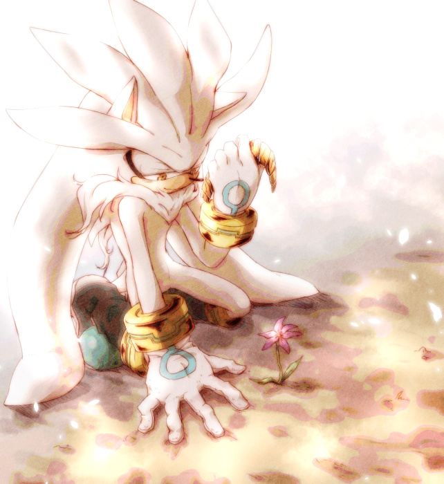 1boy, alternate_eye_color, animal_ears, animal_nose, black_footwear, body_fur, boots, bracelet