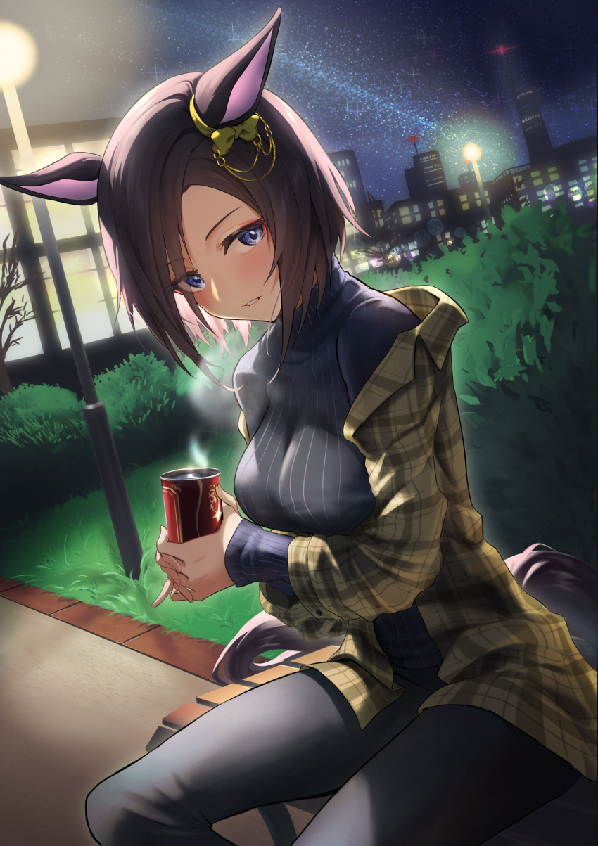 1girl, absurdres, air_groove_(umamusume), animal_ears, bench, black_pants, black_sweater, blue_eyes