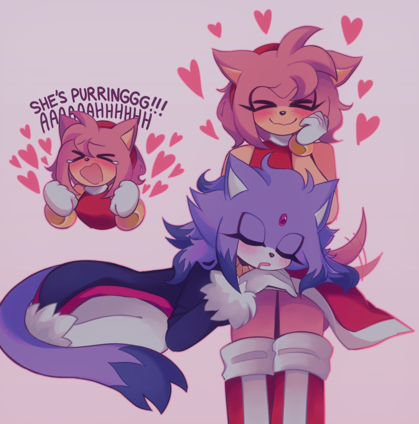>_<, 2girls, amy_rose, animal_ears, bare_shoulders, blaze_the_cat, blush, boots