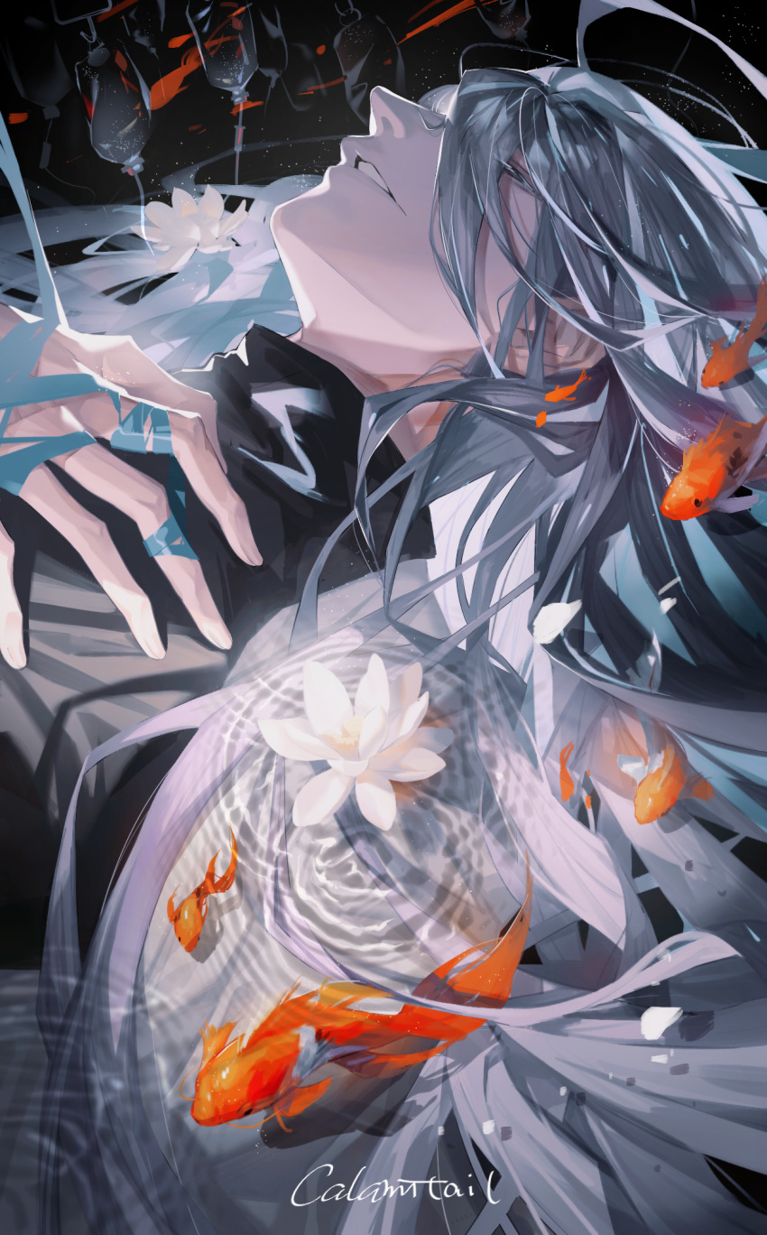 1boy, ahoge, black_background, black_shirt, calamitail, fish, flower, goldfish