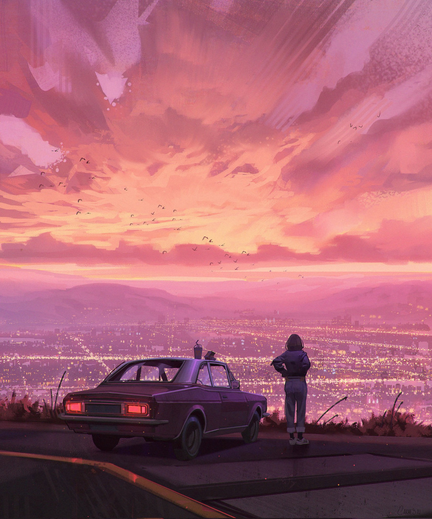 1girl, adidas, artist_name, bird, black_socks, brown_hair, car, city