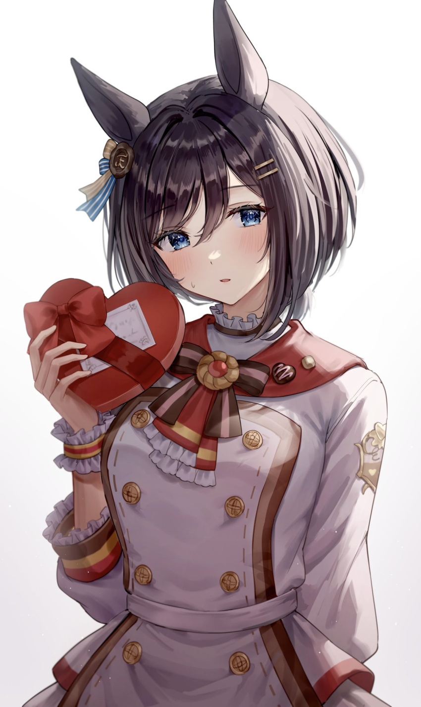 1girl, animal_ears, black_hair, blue_eyes, blue_ribbon, box, commentary_request, crown_patisserie_(umamusume)