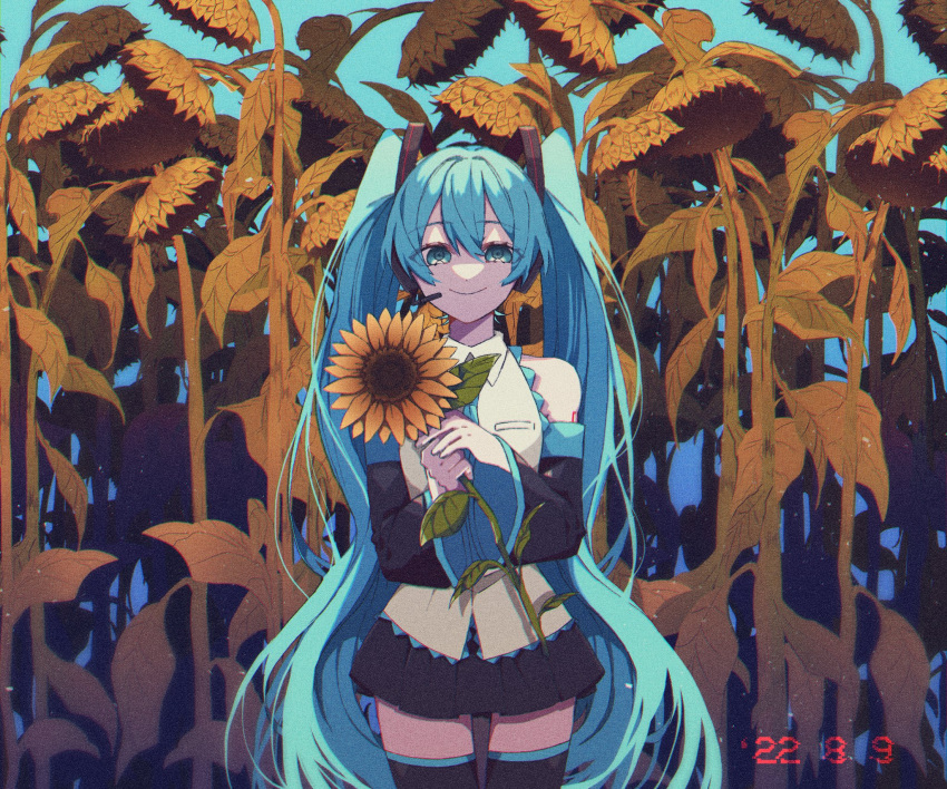 1girl, aqua_eyes, aqua_hair, aqua_necktie, bangs, bare_shoulders, black_skirt, black_sleeves, black_thighhighs, blue_sky, closed_mouth, collared_shirt, commentary, cowboy_shot, dated, detached_sleeves, eiku, film_grain, flower, glitch, hair_between_eyes, hair_ornament, hatsune_miku, headphones, highres, holding, holding_flower, long_hair, looking_at_viewer, microphone, necktie, number_tattoo, outdoors, own_hands_together, pleated_skirt, shirt, skirt, sky, smile, solo, sunflower, tattoo, thigh-highs, timestamp, twintails, vocaloid, wavy_hair, white_shirt, wilted_flower, zettai_ryouiki