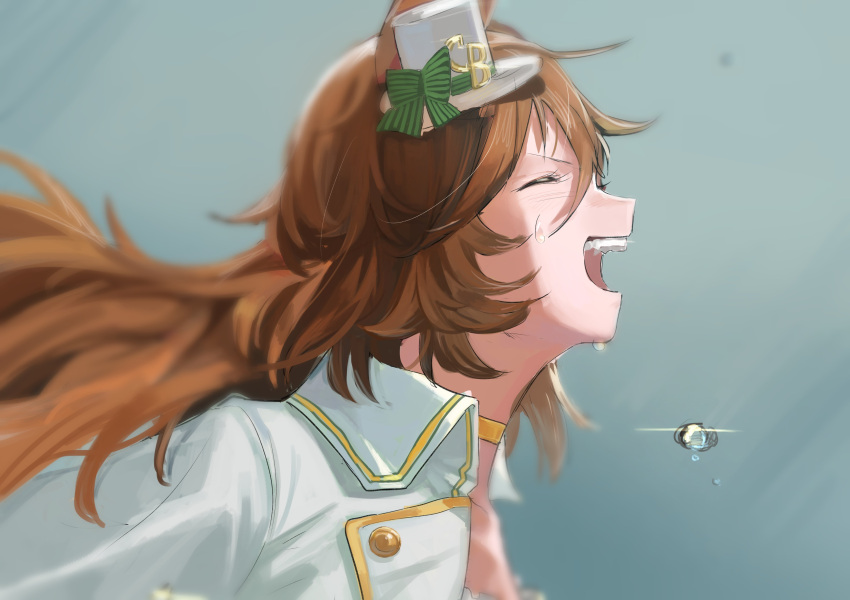 1girl, absurdres, animal_ears, bangs, brown_hair, choker, closed_eyes, detached_sleeves