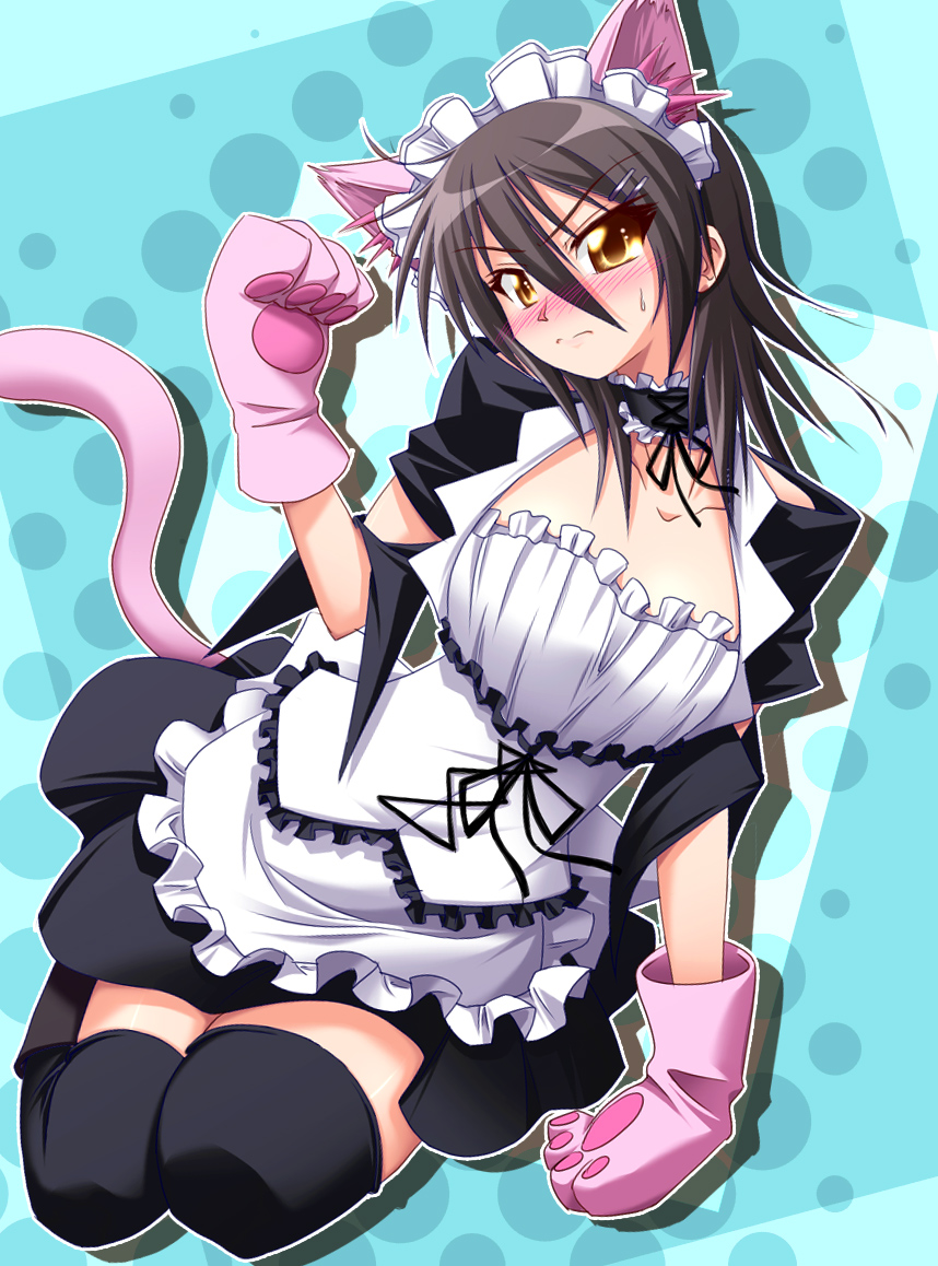 ayuzawa_misaki, blush, brown_hair, cat_ears, cat_tail, gloves, hirorin, kaichou_wa_maid-sama