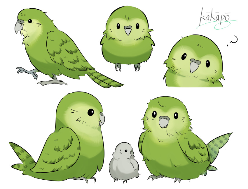 ?, absurdres, animal_focus, bird, commentary_request, green_bird, highres, kakapo