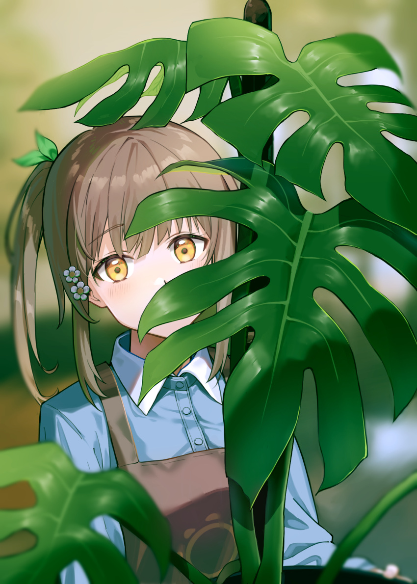 1girl, apron, bangs, blue_shirt, blurry, blurry_background, blush, brown_apron
