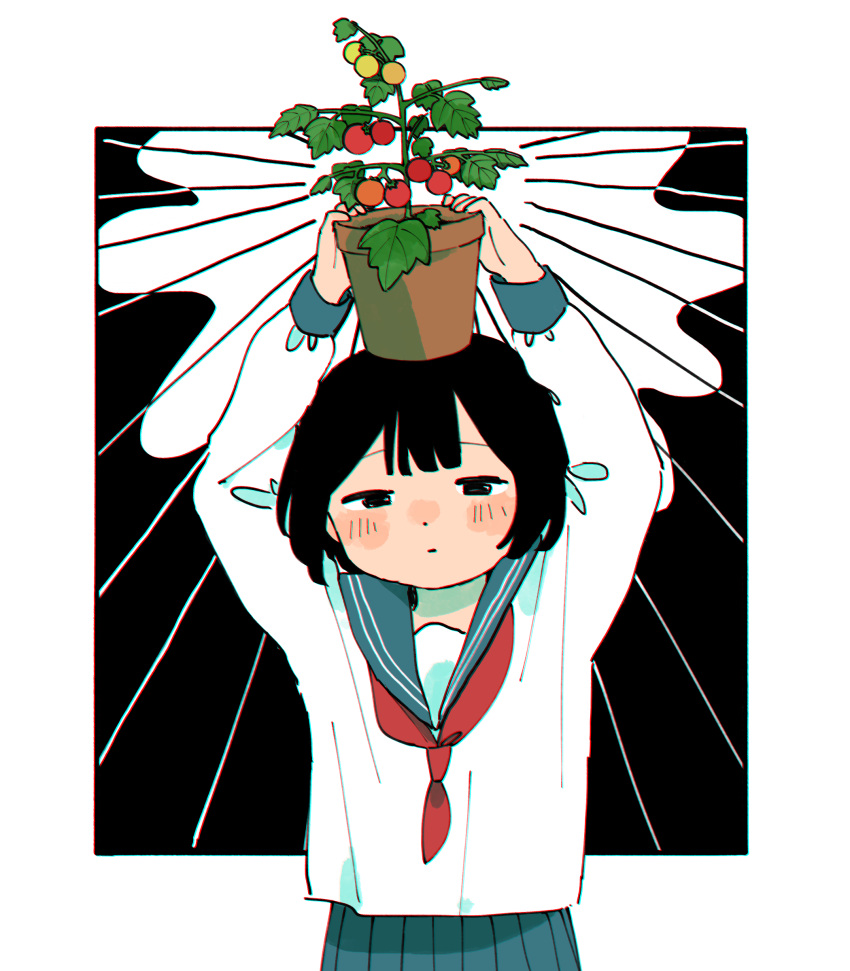 1girl, absurdres, arms_up, bangs, black_eyes, black_hair, border, cherry_tomato
