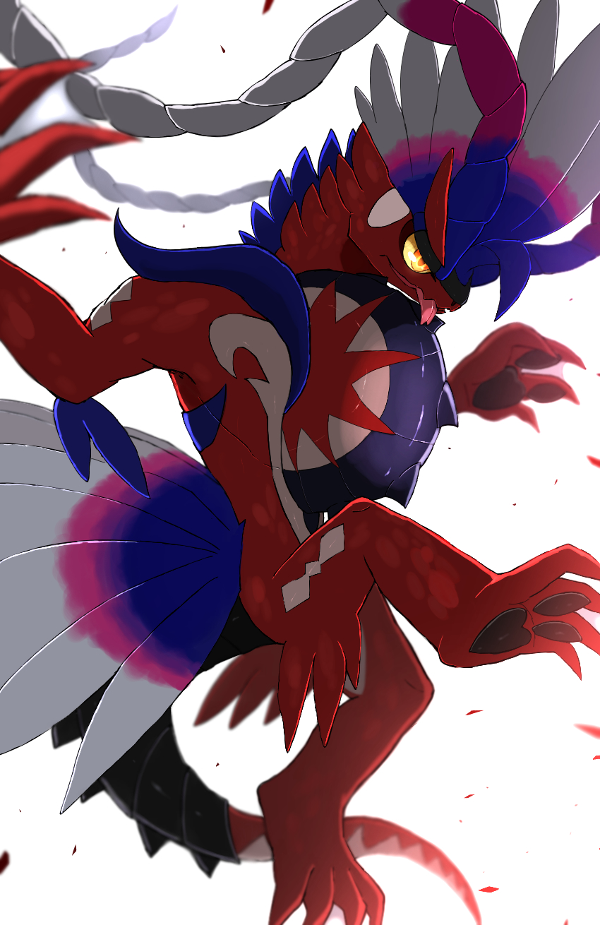 blurry, colored_sclera, commentary_request, depth_of_field, highres, koraidon, levia1539, looking_down, no_humans, orange_eyes, pokemon, pokemon_(creature), simple_background, tongue, tongue_out, white_background, yellow_sclera