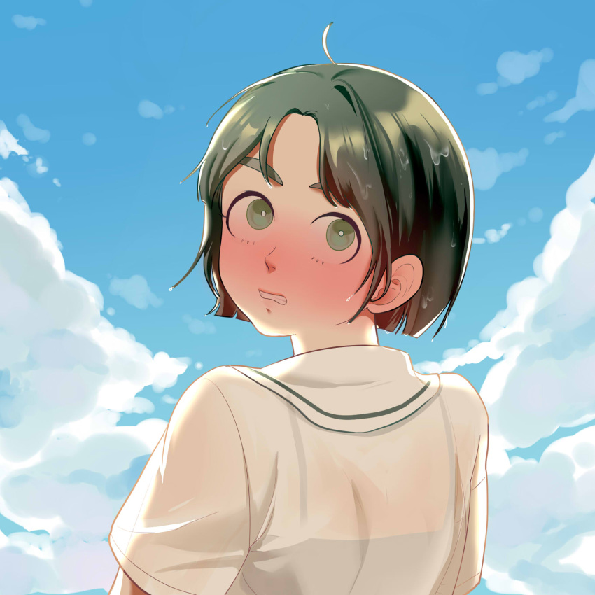 1girl, after_school_lessons_for_unripe_apples, blue_sky, blush, clouds, day, green_eyes, highres