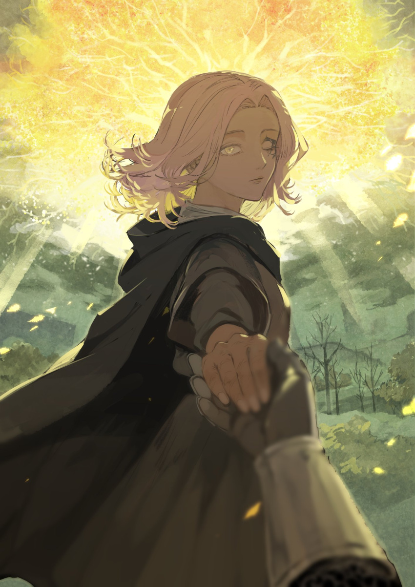 1girl, black_cape, brown_hair, cape, closed_mouth, commentary_request, dress, elden_ring