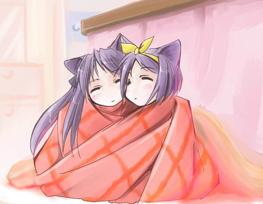 blanket, cat_ears, hiiragi_kagami, hiiragi_tsukasa, jiei_son, kemonomimi_mode, long_hair, lucky_star, purple_hair, ribbon, room, short_hair, sleeping, source_request, under_covers